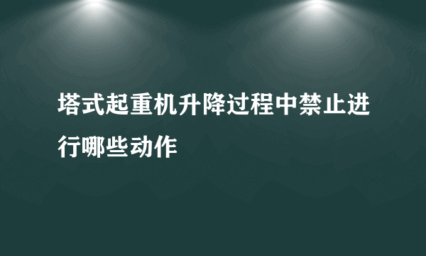 塔式起重机升降过程中禁止进行哪些动作