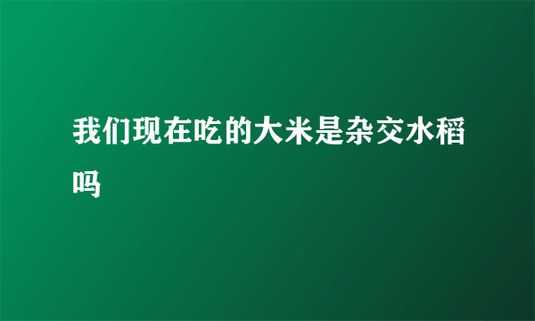 我们现在吃的大米是杂交水稻吗