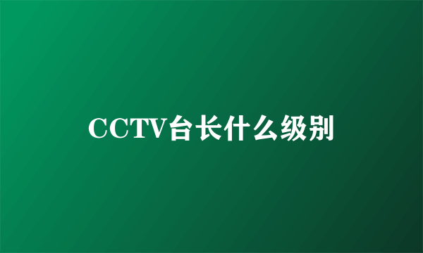 CCTV台长什么级别