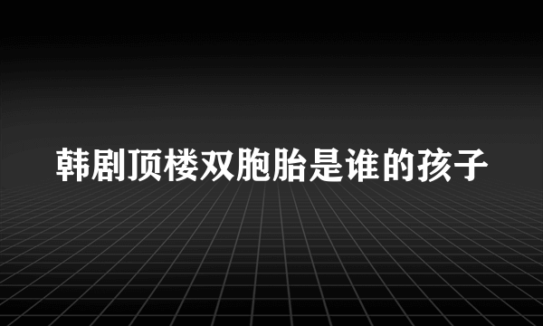 韩剧顶楼双胞胎是谁的孩子