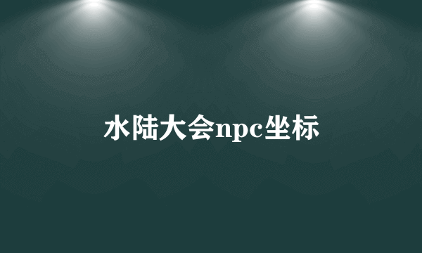 水陆大会npc坐标