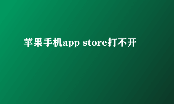 苹果手机app store打不开