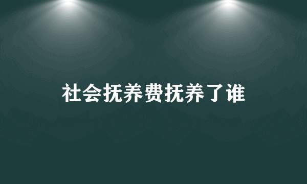 社会抚养费抚养了谁