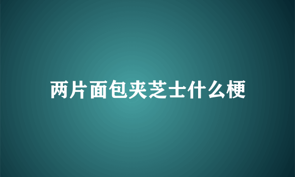 两片面包夹芝士什么梗