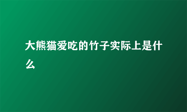 大熊猫爱吃的竹子实际上是什么