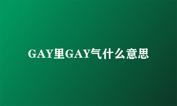 GAY里GAY气什么意思