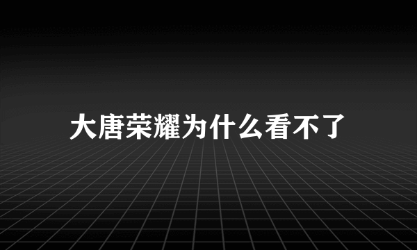 大唐荣耀为什么看不了