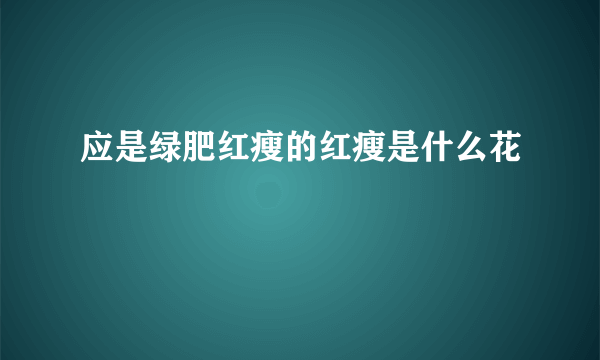 应是绿肥红瘦的红瘦是什么花