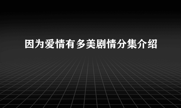 因为爱情有多美剧情分集介绍