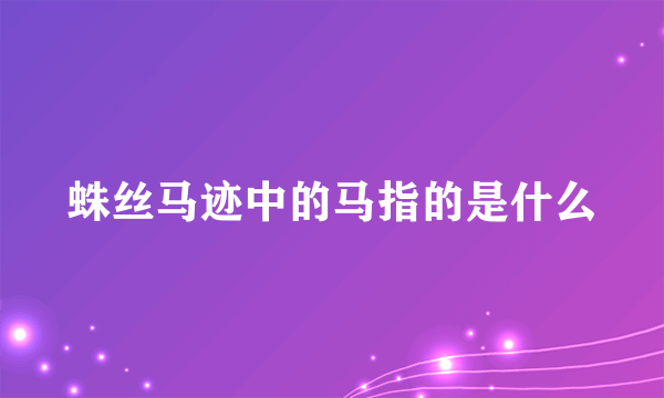 蛛丝马迹中的马指的是什么