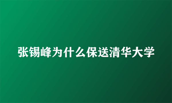 张锡峰为什么保送清华大学