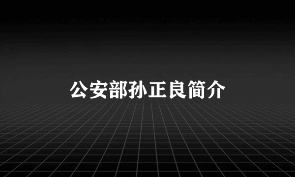 公安部孙正良简介