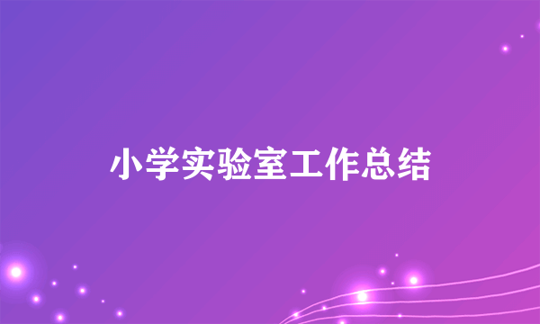 小学实验室工作总结