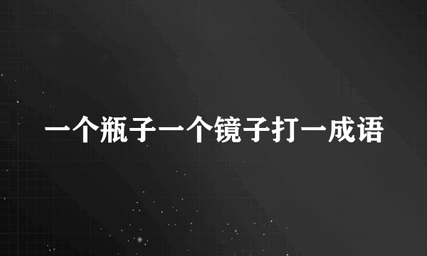 一个瓶子一个镜子打一成语