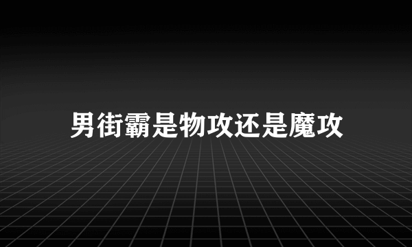 男街霸是物攻还是魔攻