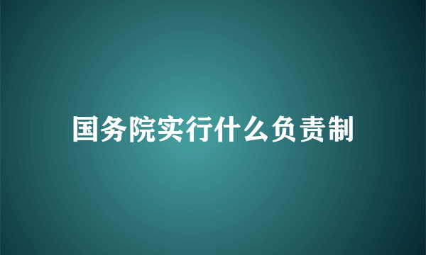 国务院实行什么负责制