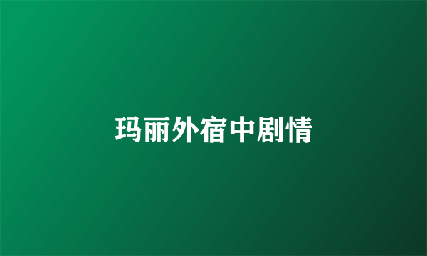 玛丽外宿中剧情