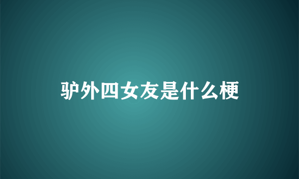 驴外四女友是什么梗