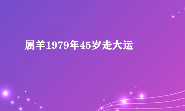 属羊1979年45岁走大运