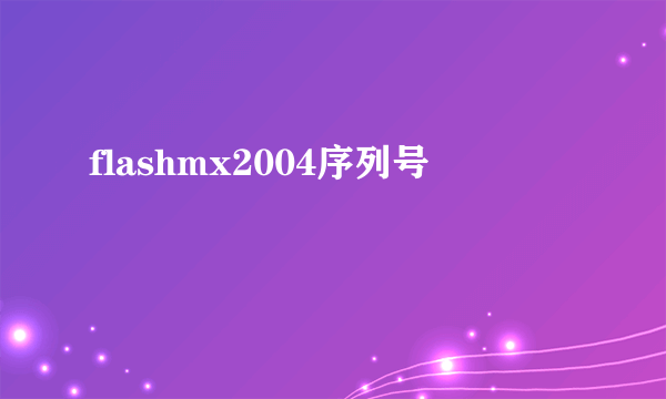 flashmx2004序列号