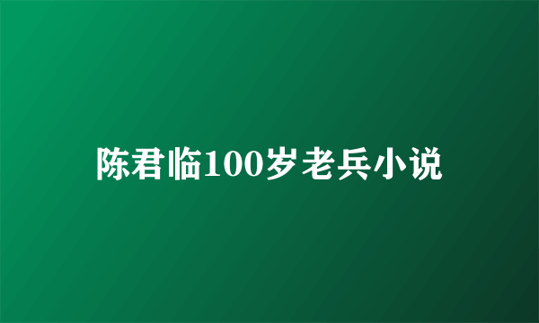 陈君临100岁老兵小说