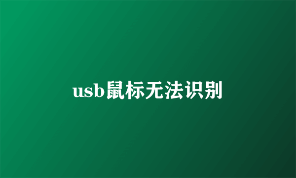 usb鼠标无法识别