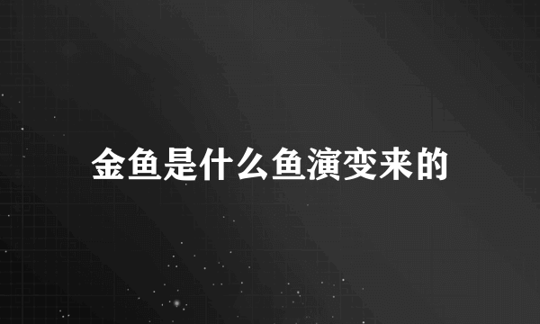 金鱼是什么鱼演变来的