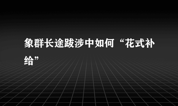 象群长途跋涉中如何“花式补给”