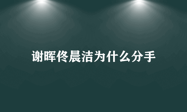 谢晖佟晨洁为什么分手