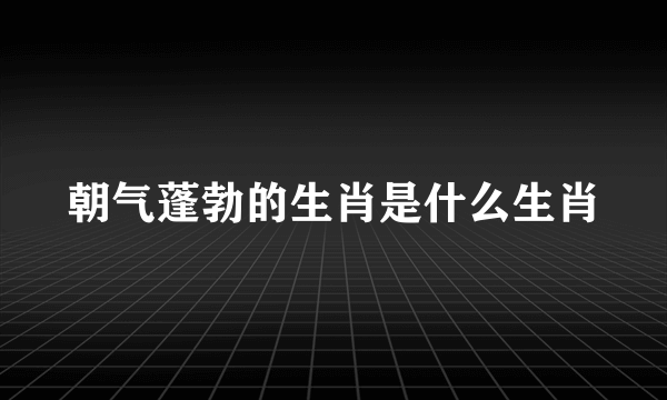 朝气蓬勃的生肖是什么生肖