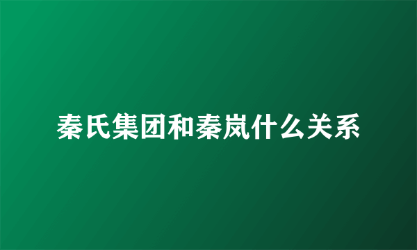 秦氏集团和秦岚什么关系