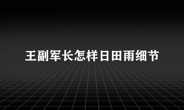 王副军长怎样日田雨细节