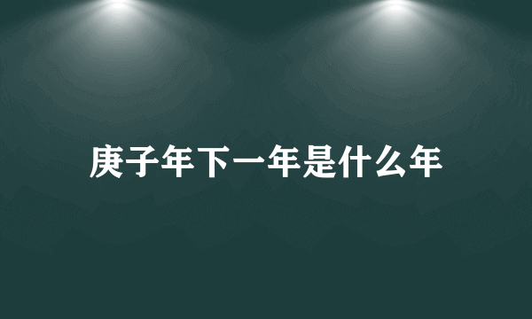 庚子年下一年是什么年