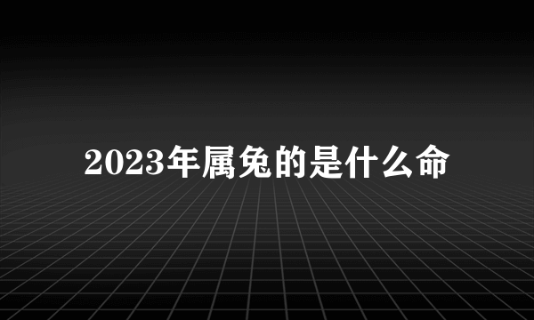 2023年属兔的是什么命