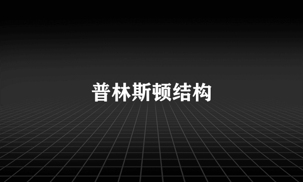 普林斯顿结构