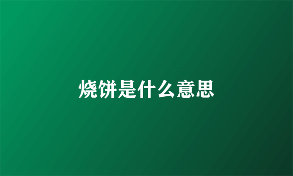 烧饼是什么意思