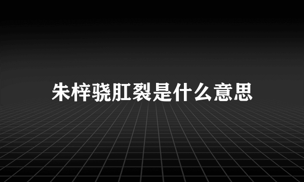 朱梓骁肛裂是什么意思