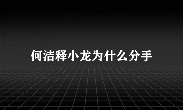 何洁释小龙为什么分手