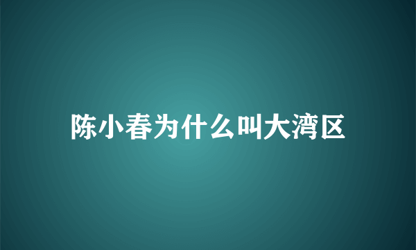 陈小春为什么叫大湾区