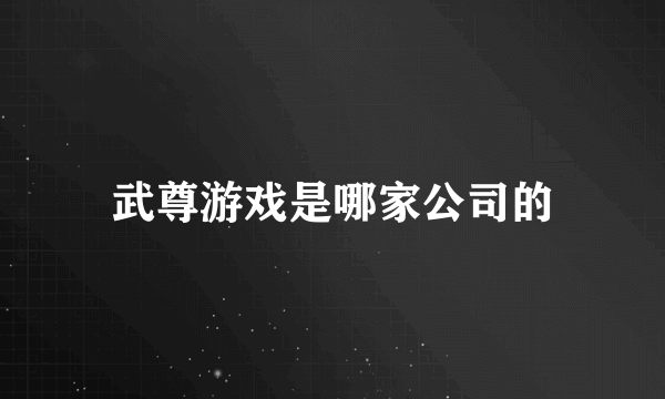 武尊游戏是哪家公司的