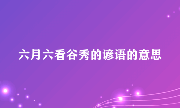 六月六看谷秀的谚语的意思