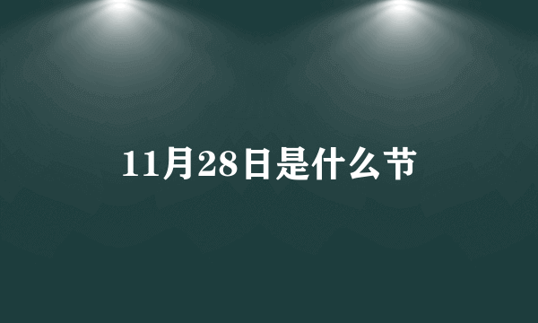 11月28日是什么节