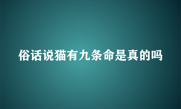 俗话说猫有九条命是真的吗