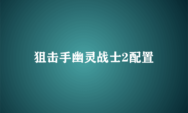 狙击手幽灵战士2配置