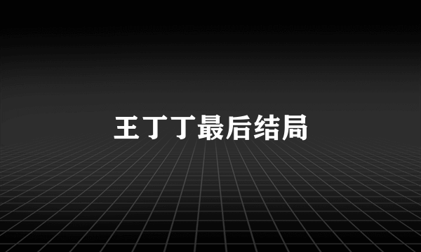 王丁丁最后结局