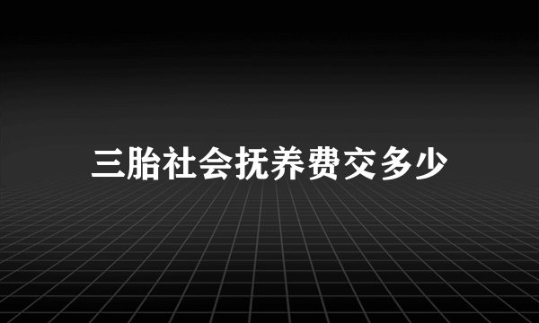 三胎社会抚养费交多少