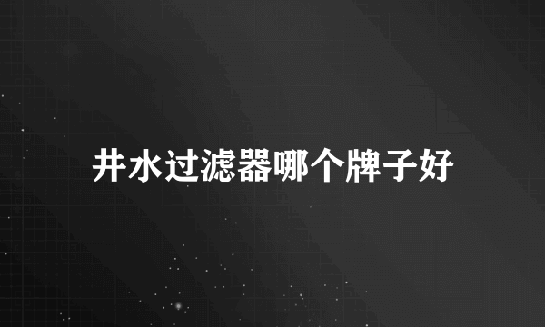 井水过滤器哪个牌子好