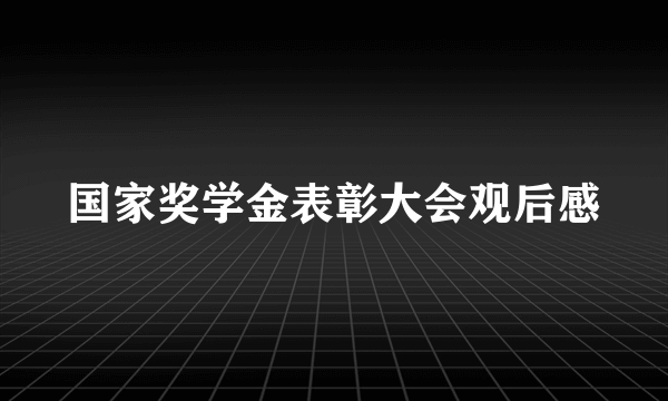 国家奖学金表彰大会观后感