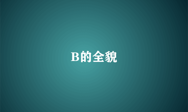 B的全貌