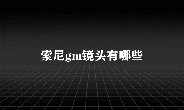 索尼gm镜头有哪些